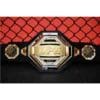 حزام بطولة UFC الذهبي مع الحزام الأسود