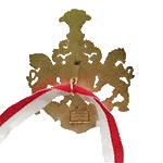 medaglia con foro speciale